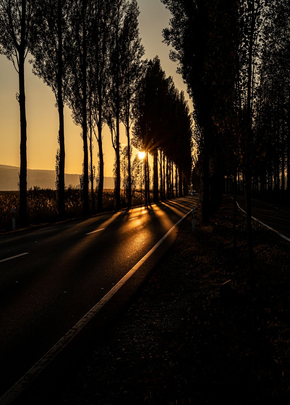 Pirminstrasse, Germany