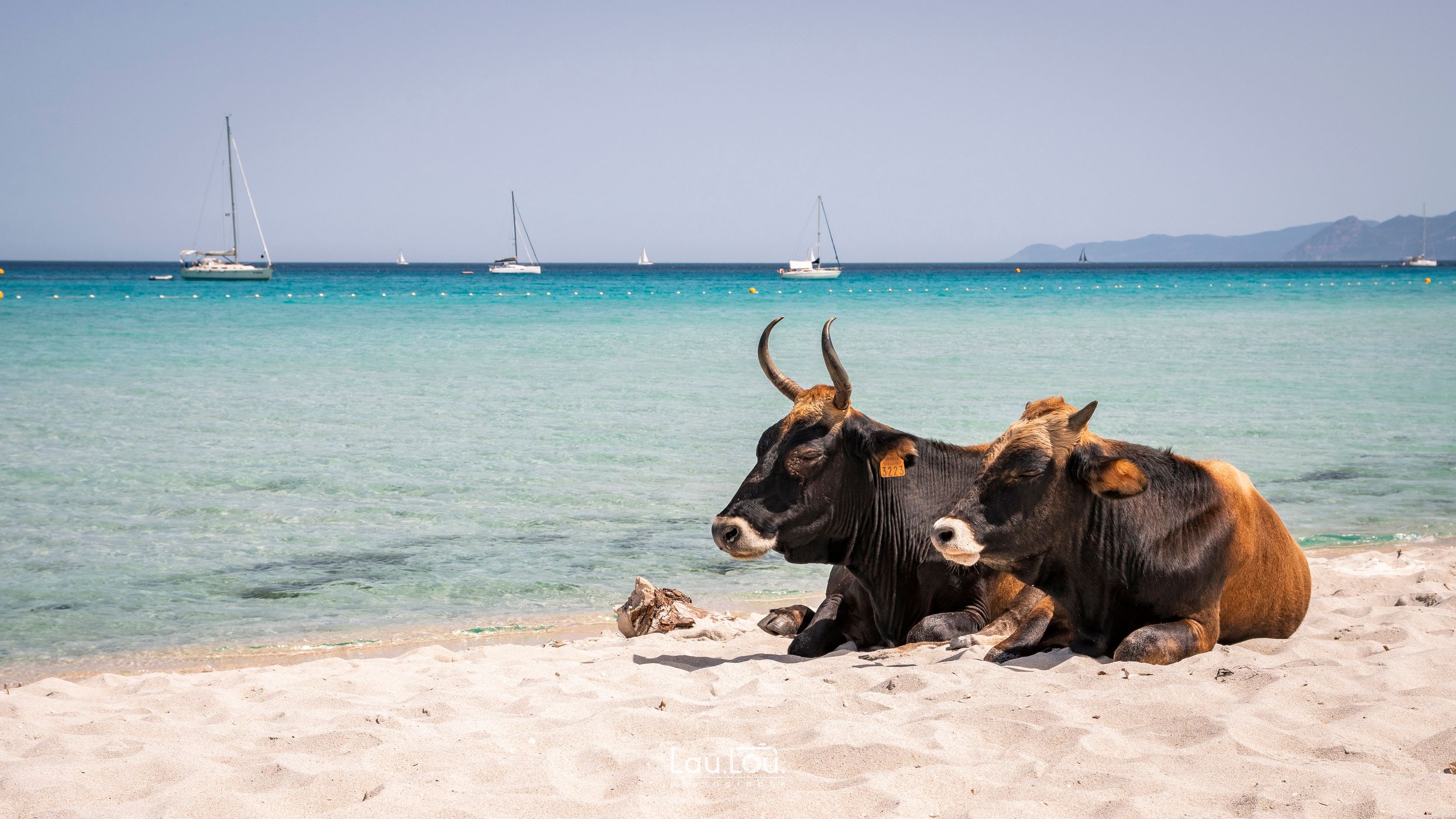 Plage de Saleccia, France