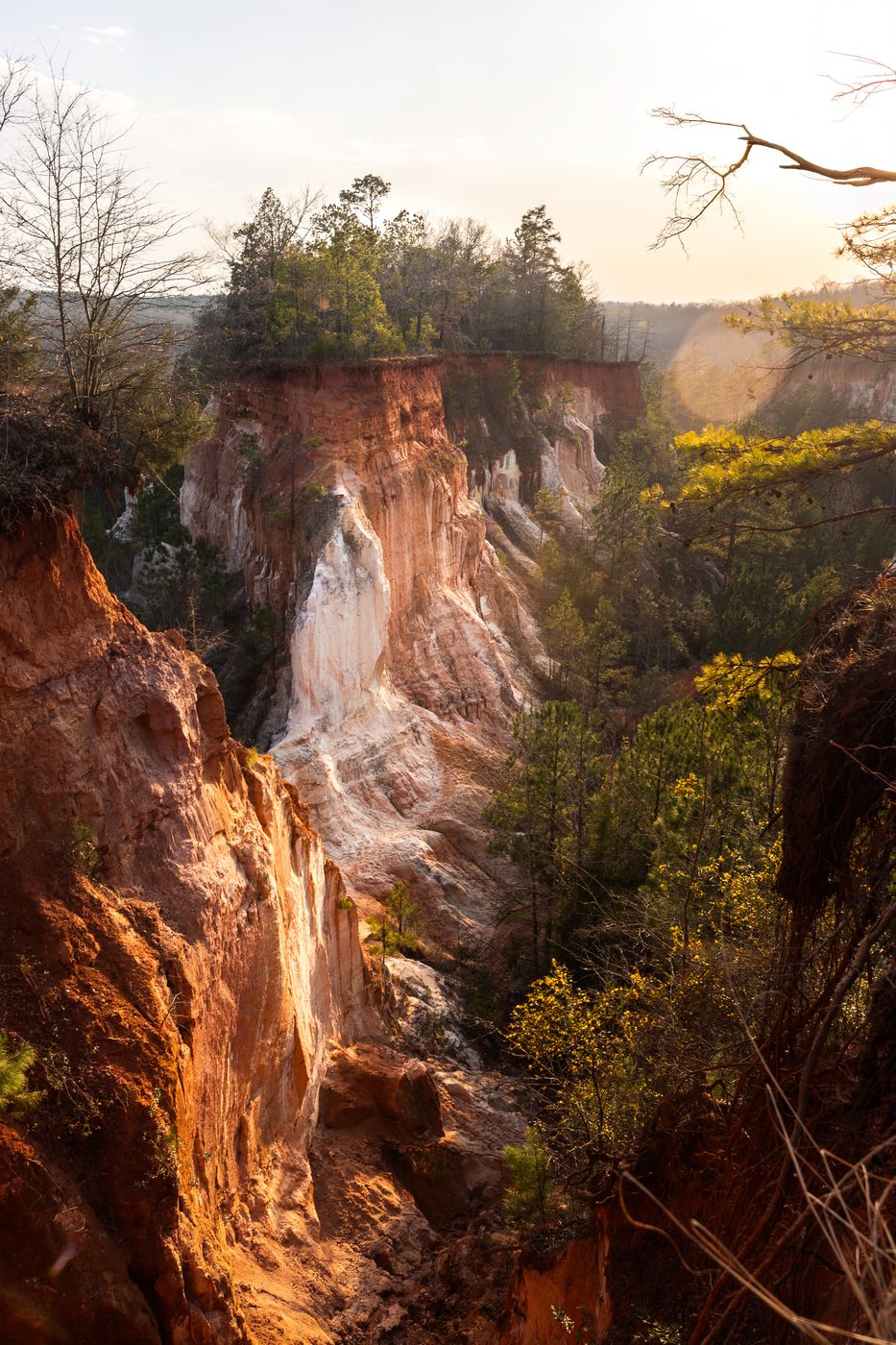 Providence Canyon State Park, USA