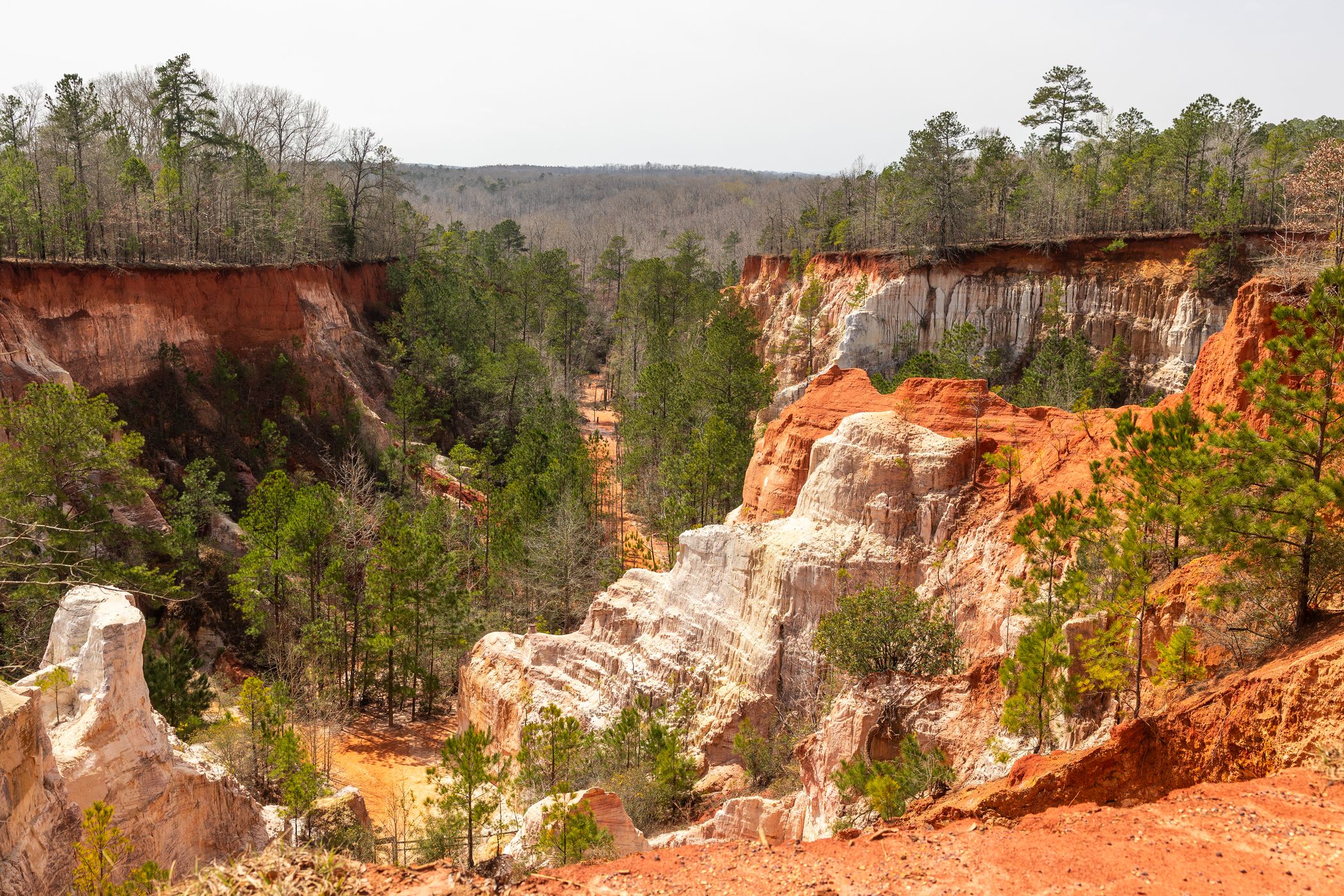 Providence Canyon State Park, USA