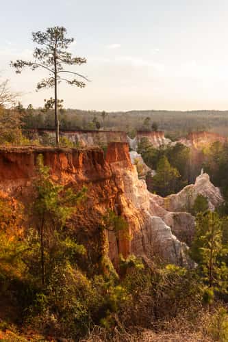 Providence Canyon State Park