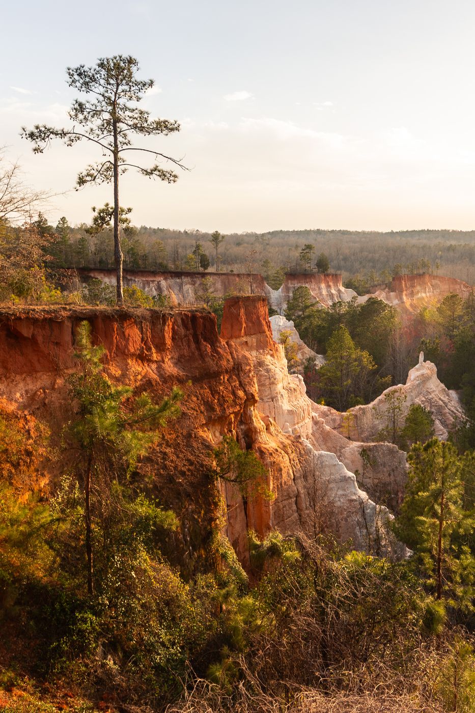 Providence Canyon State Park, USA