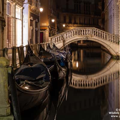 Hotel Cavalletto, Venice, Italy