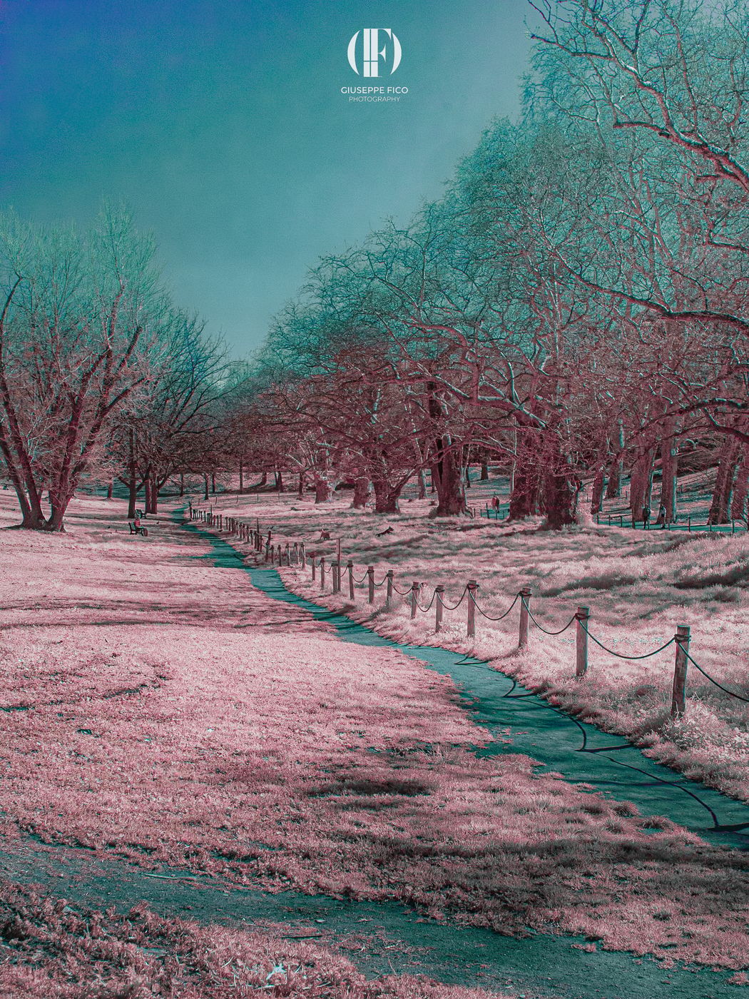 Roma, Villa Borghese (area Cani), Italy