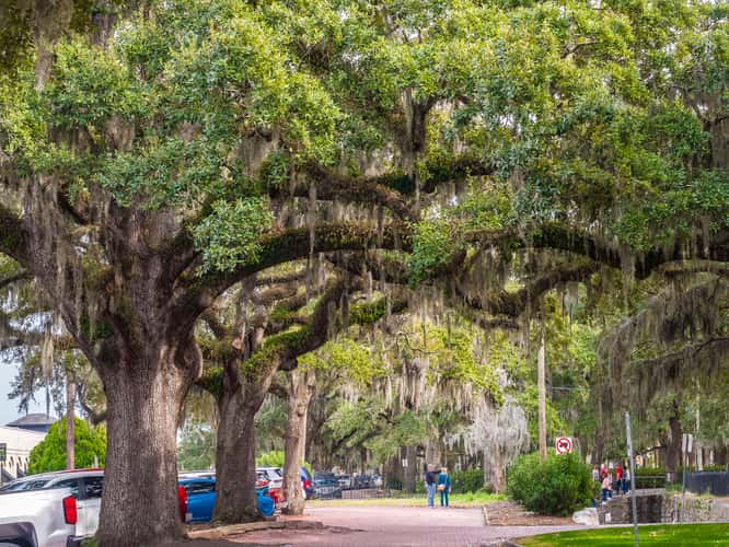 Savannah, Georgia