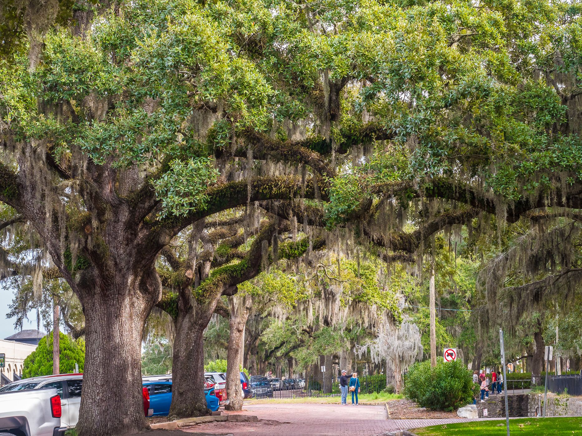 Savannah, Georgia, USA