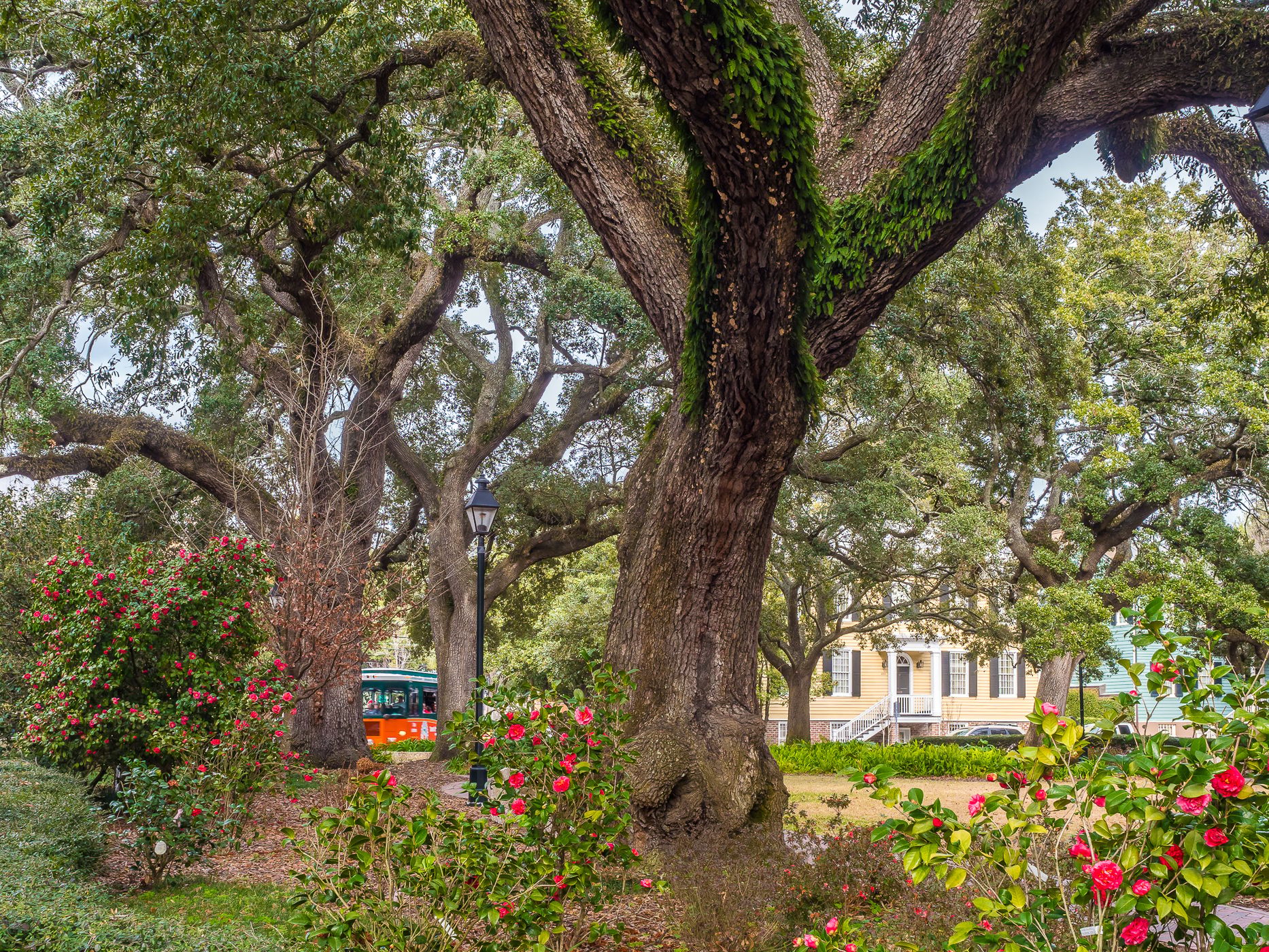 Savannah, Georgia, USA