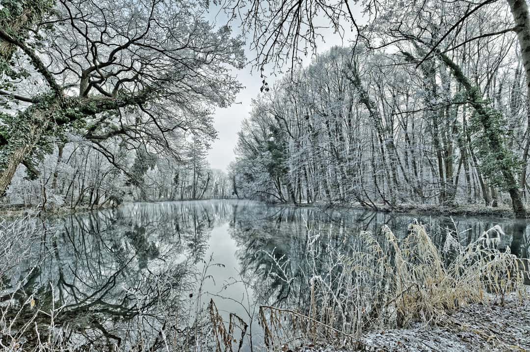 schlosspark pottendorf, Austria