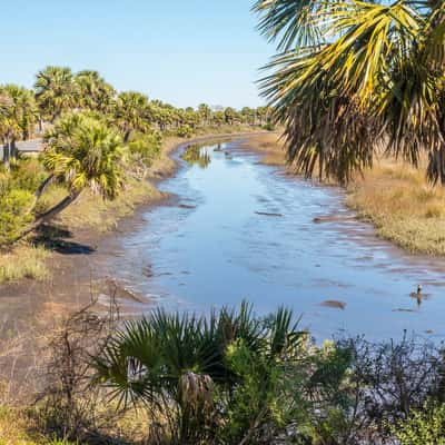 St. Marks National Wildlife Refuge, USA