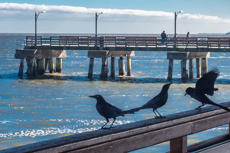 St. Simons Island