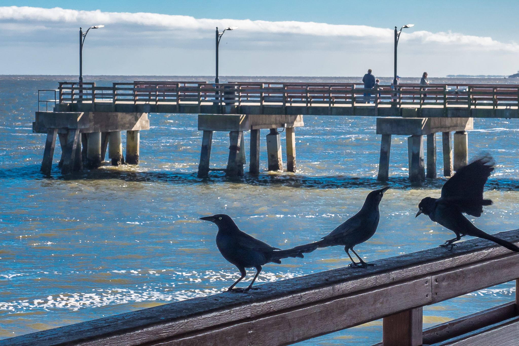 St. Simons Island, USA