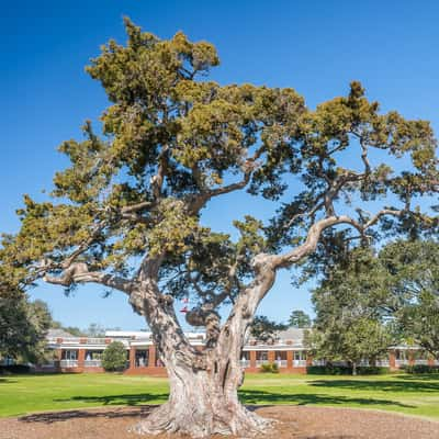 St. Simons Island, USA