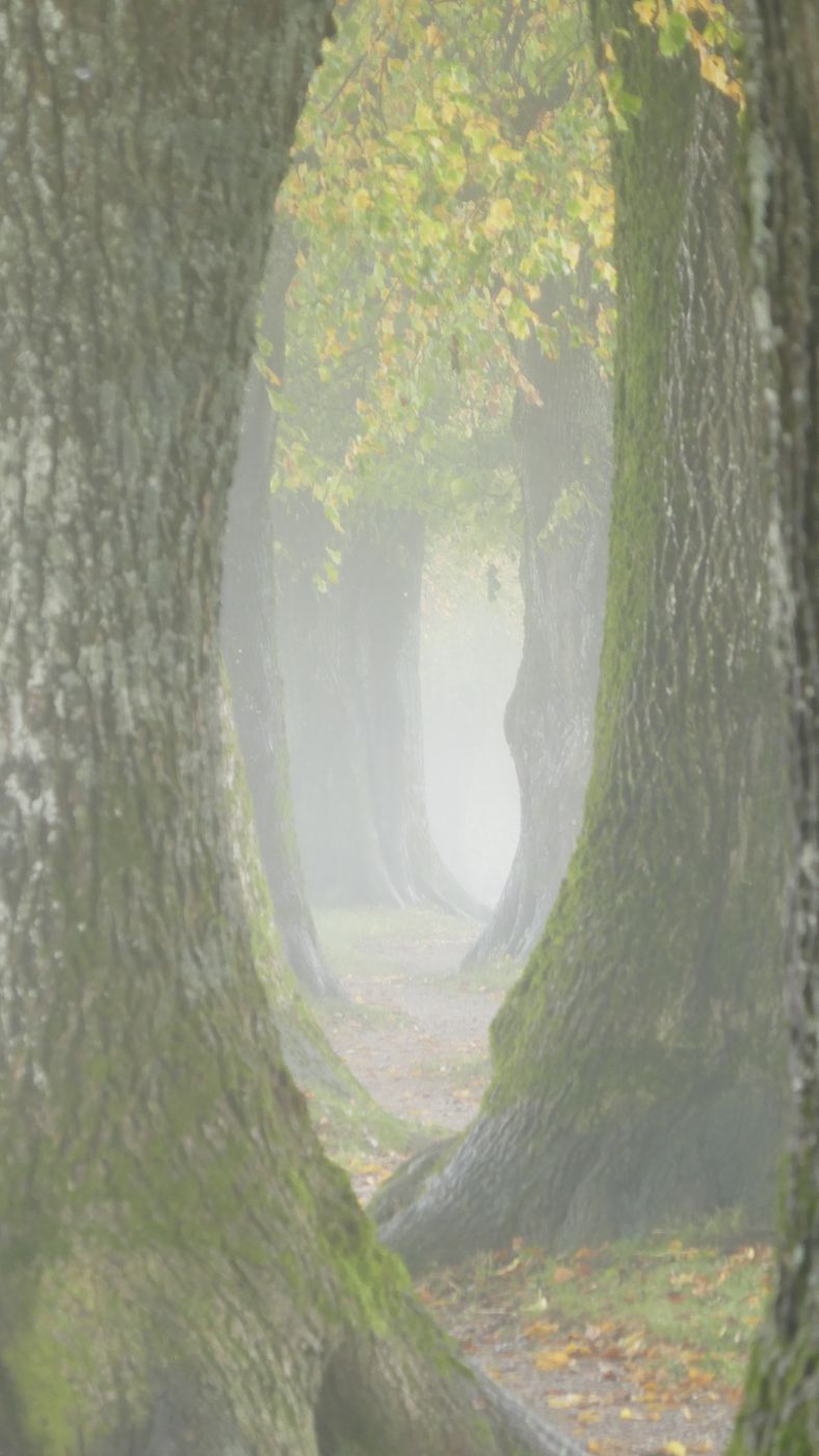 Steindlweg, Germany