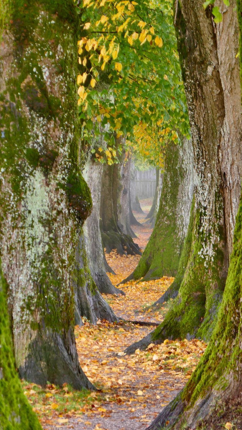 Steindlweg, Germany