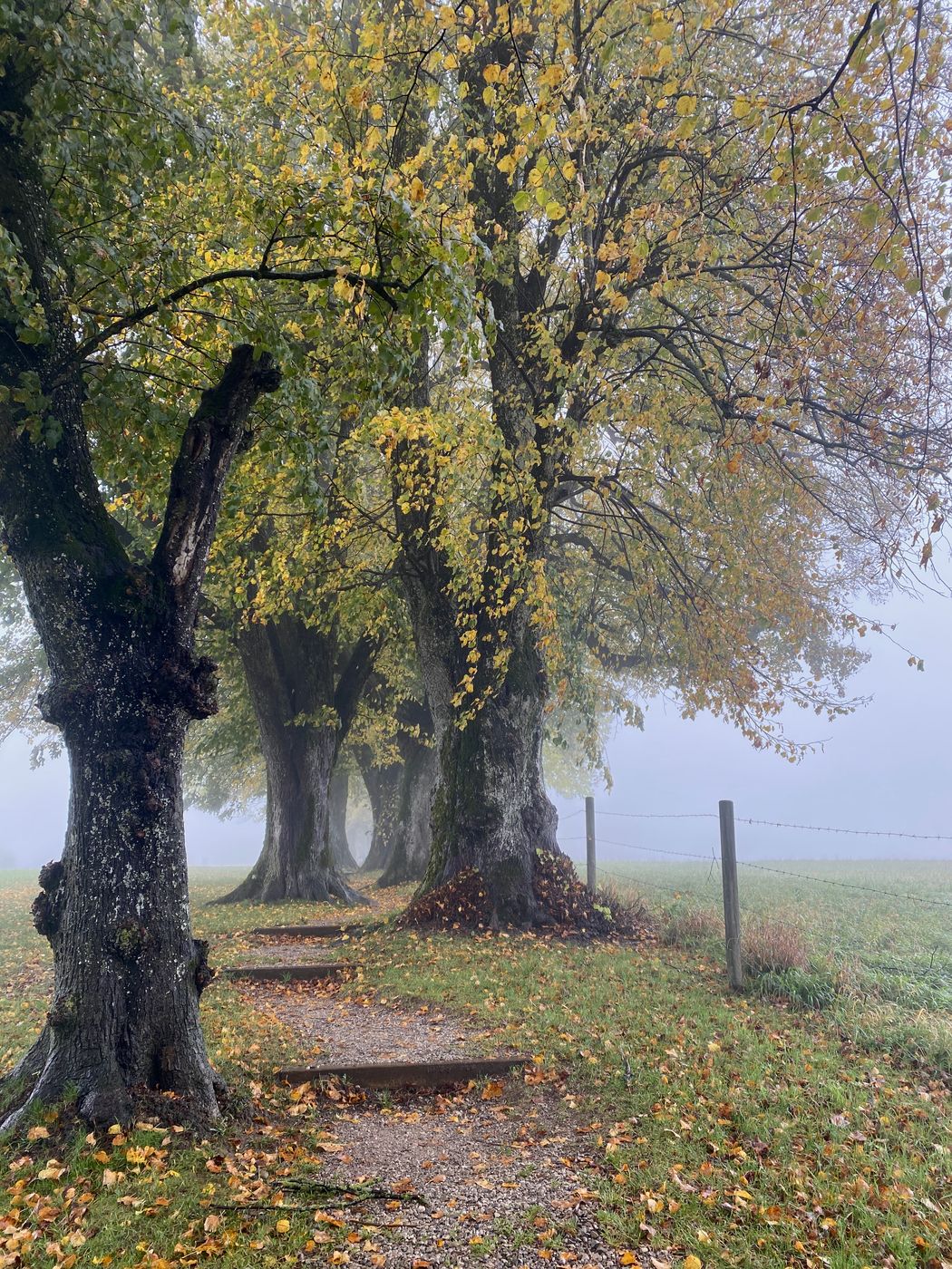 Steindlweg, Germany