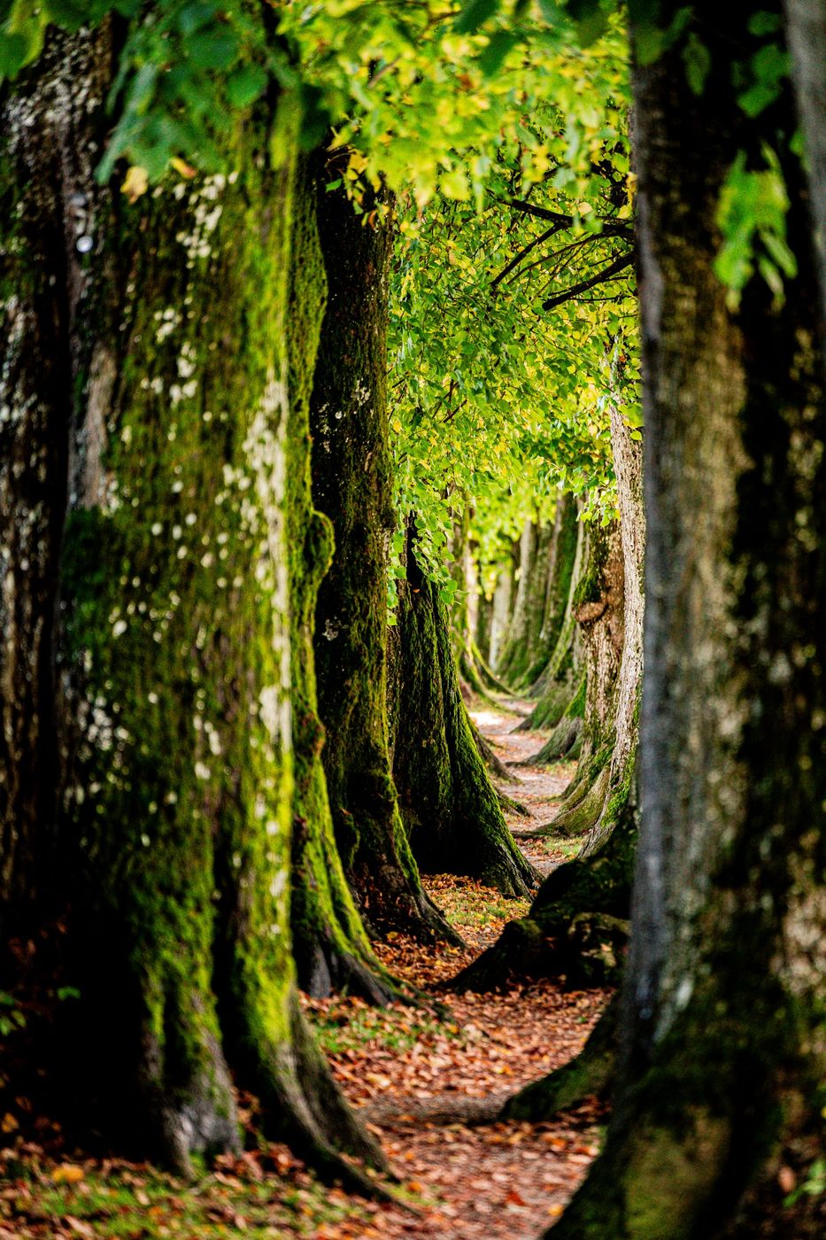 Steindlweg, Germany