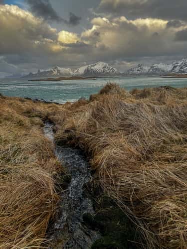 Beach houses with a view of Sandøya, Lofoten