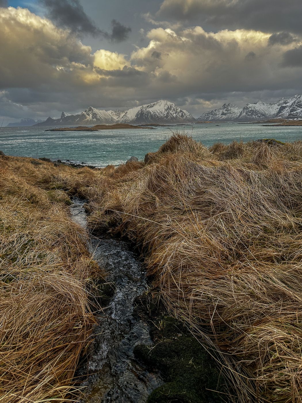 Beach houses with a view of Sandøya, Lofoten, Norway