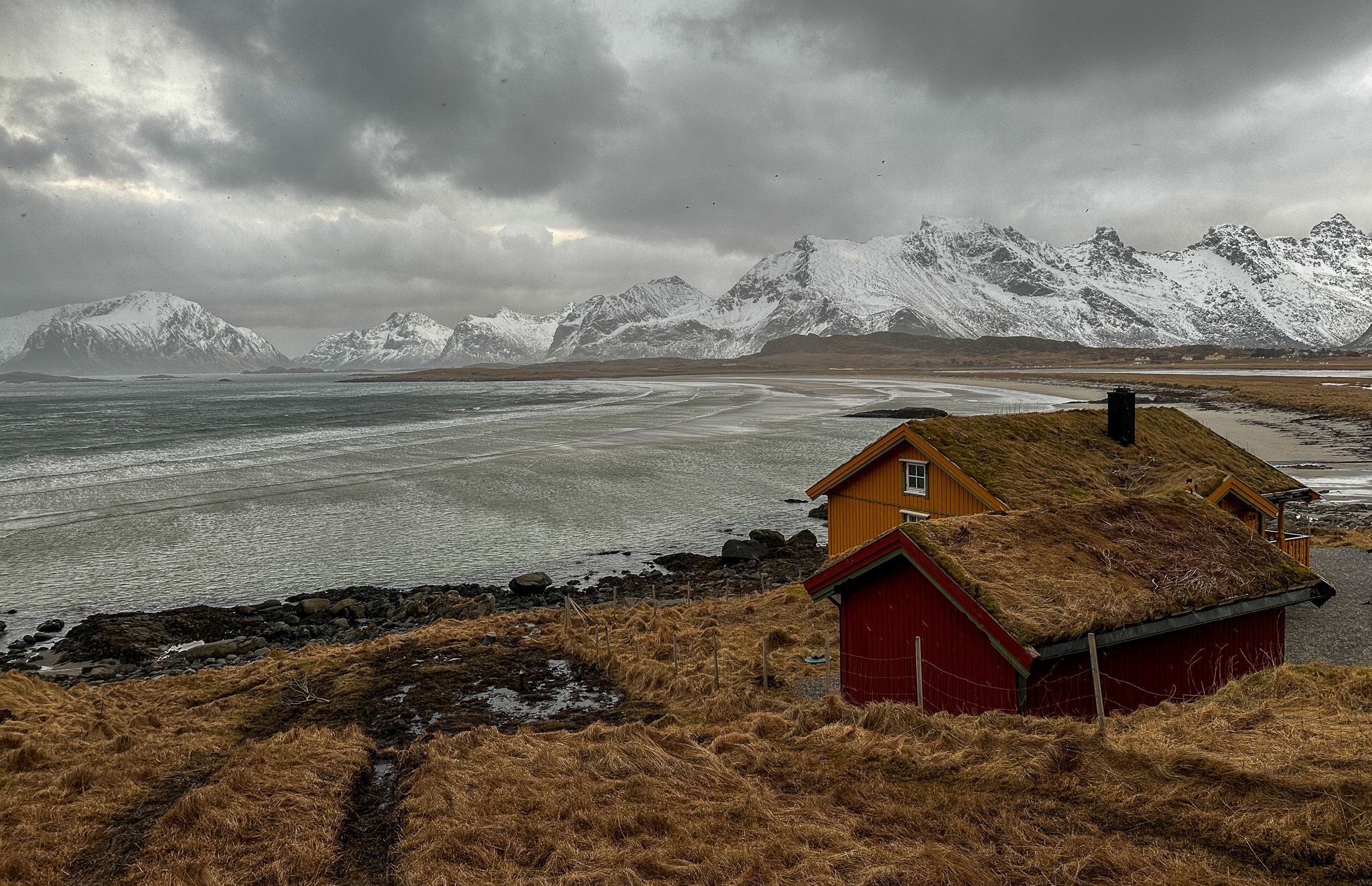 Beach houses with a view of Sandøya, Lofoten, Norway