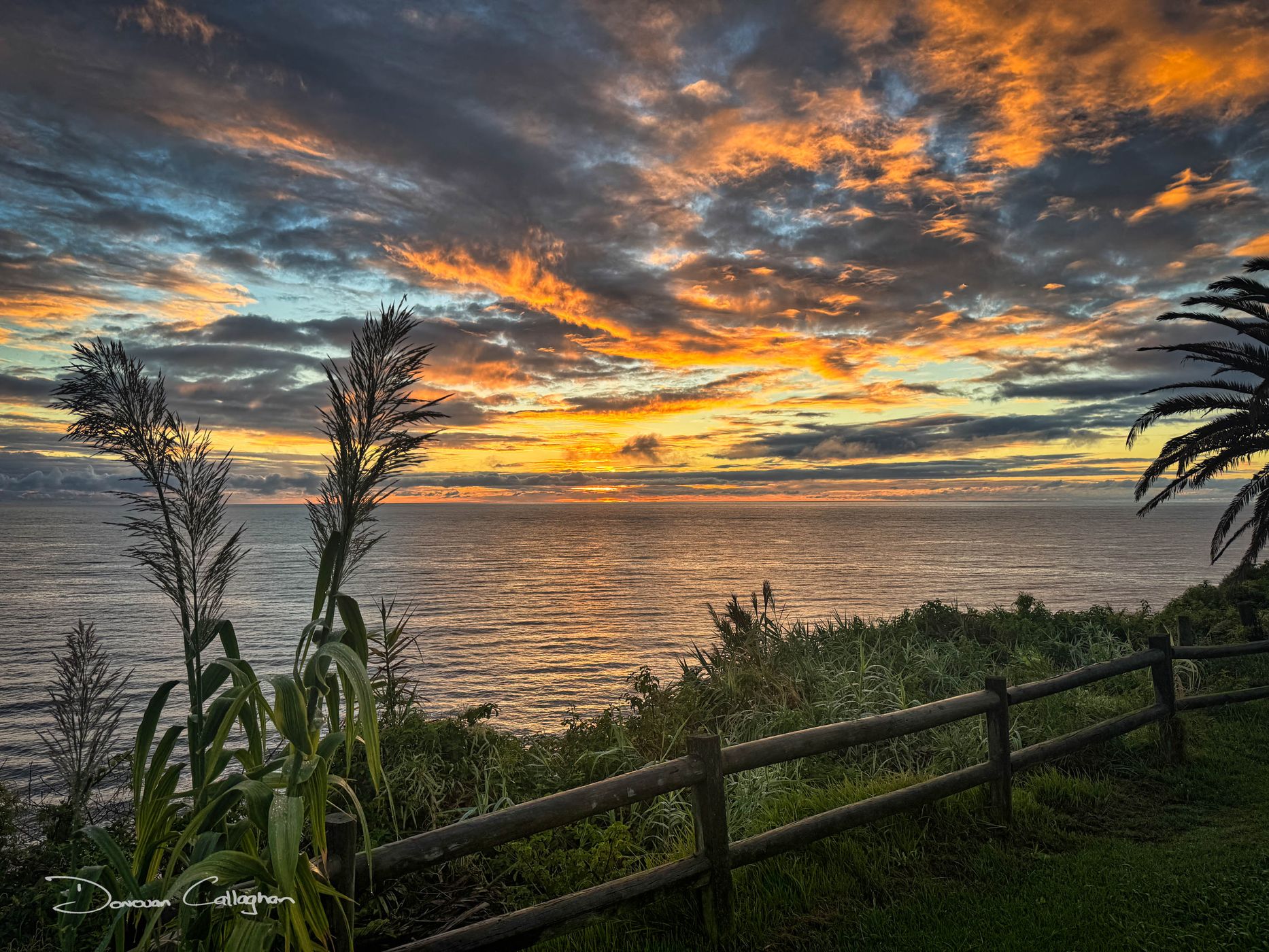 Mona Vale Headland, Mona Vale, Sydney NSW, Australia