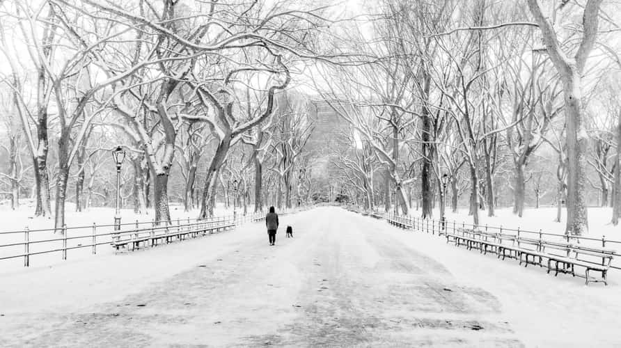 The Mall and Literary Walk, Central Park, NYC