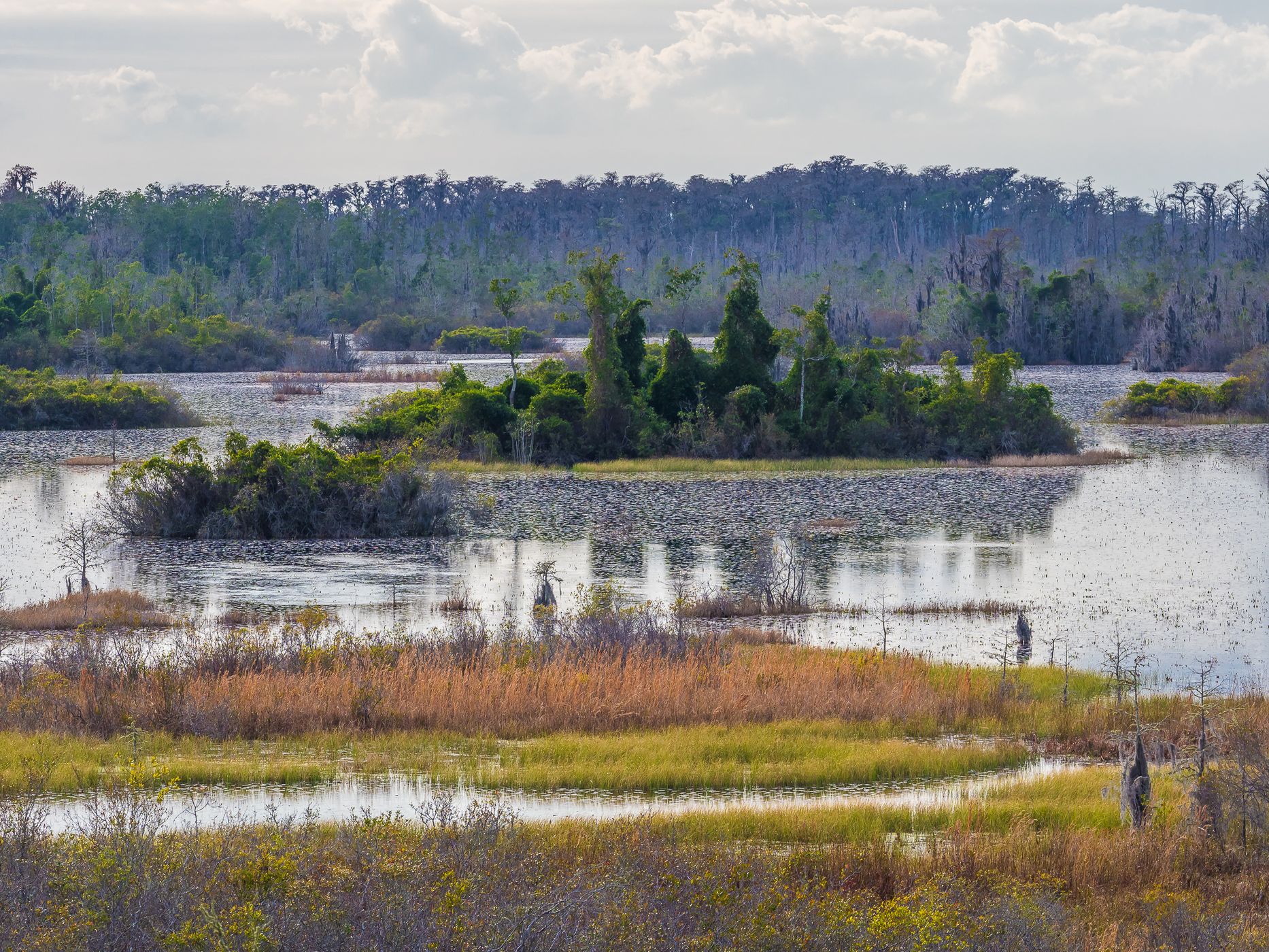 The Okefenokee National Wildlife Refuge, USA