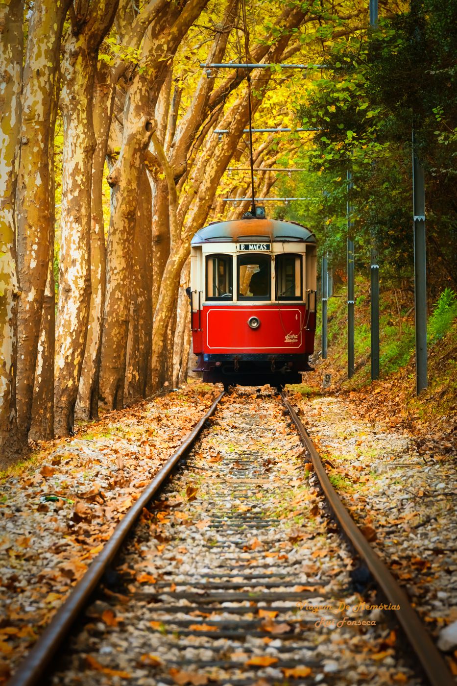 Tram Sintra, Portugal