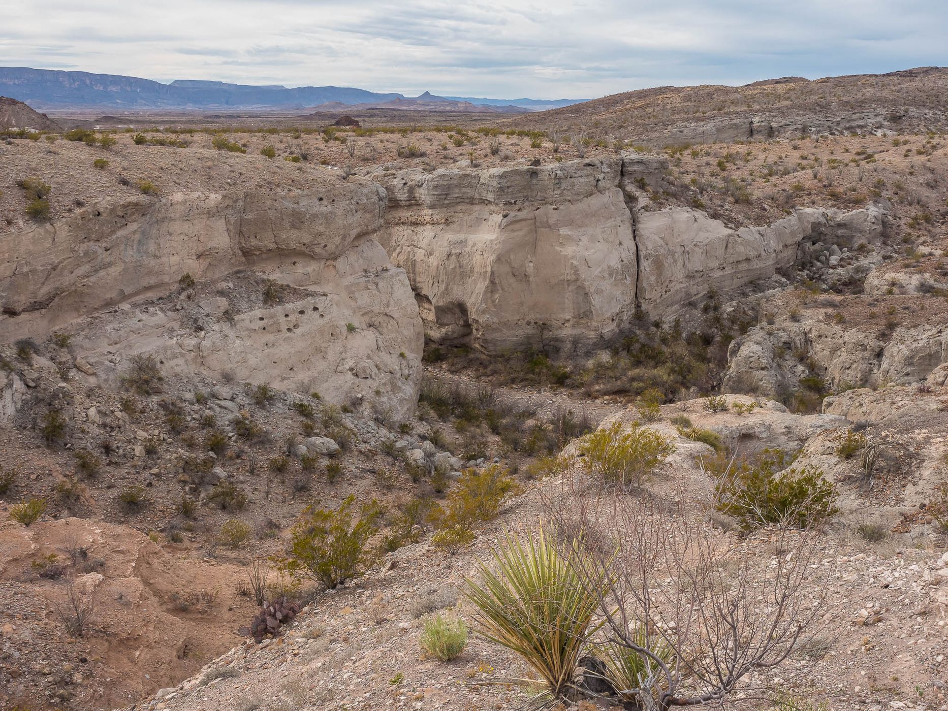 Tuff Canyon Overlook, USA