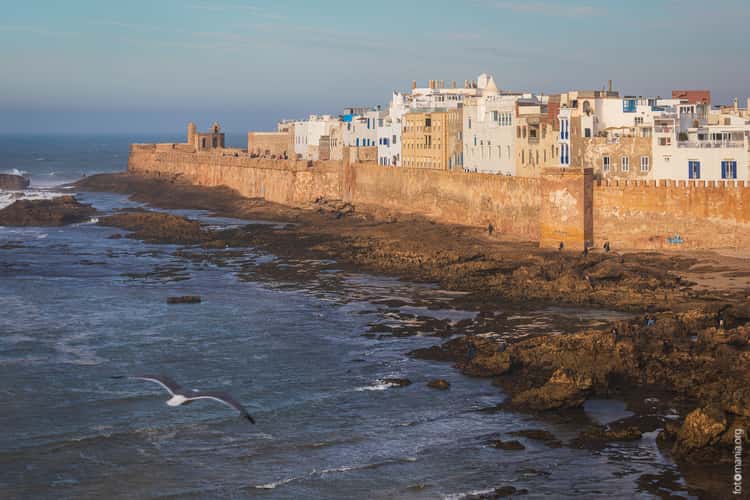 View over medina of Essaouira