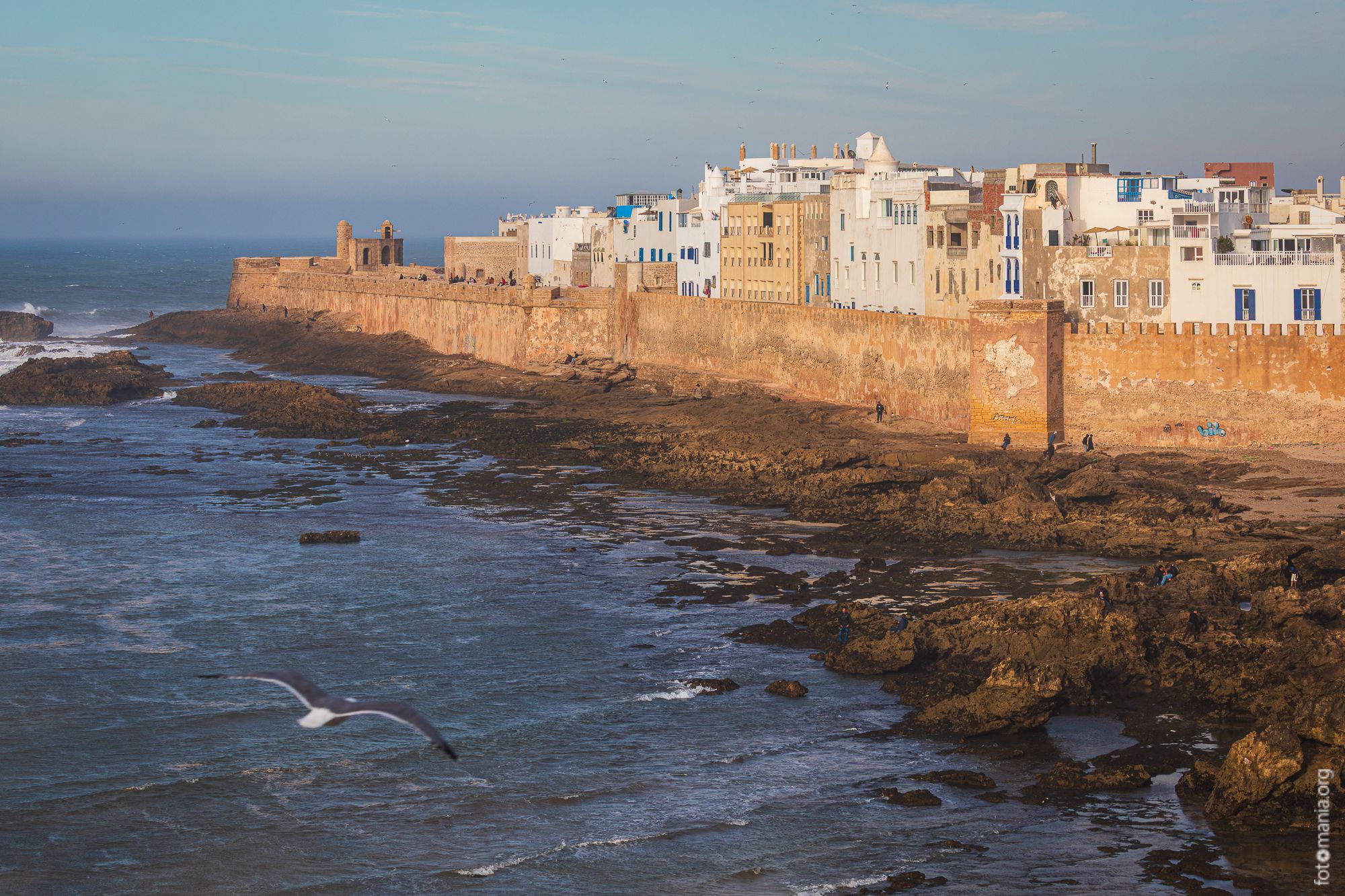 View over medina of Essaouira, Morocco