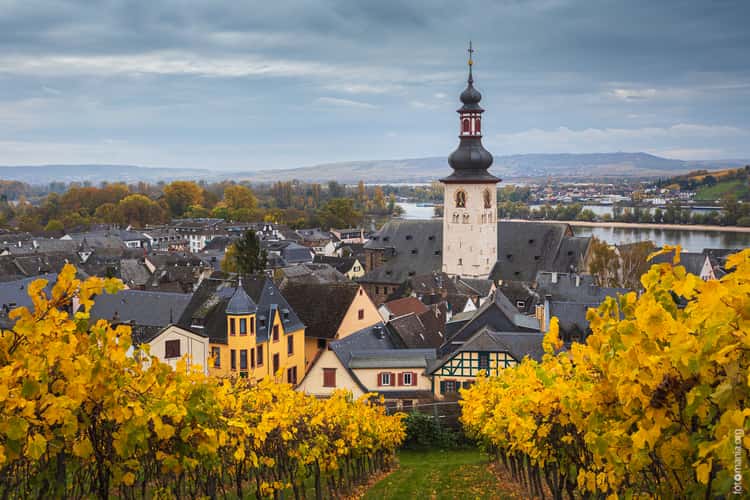 View to Rüdesheim am Rhein from the hill