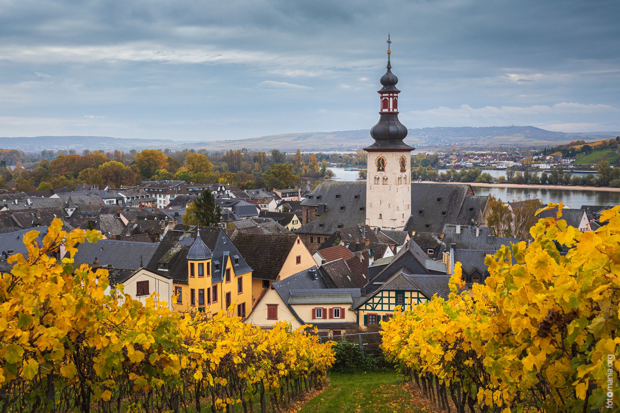 View to Rüdesheim am Rhein from the hill, Germany