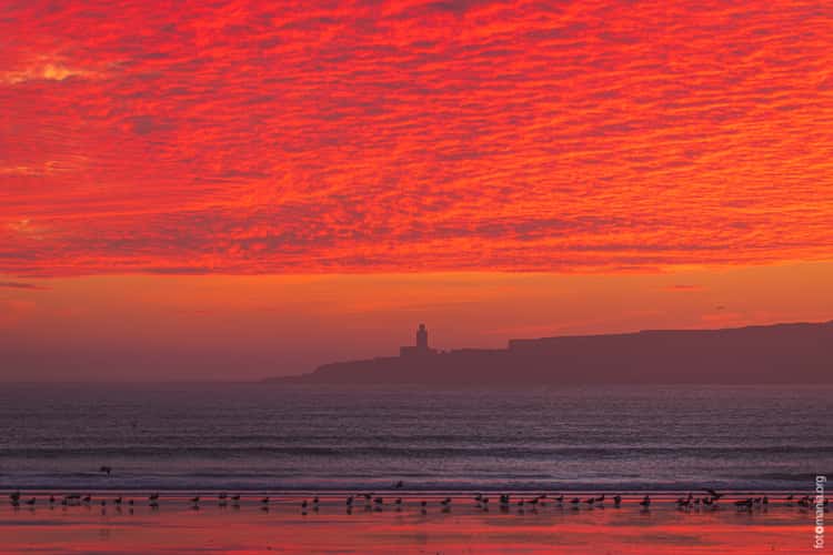 View towards Mogador Island Mosque