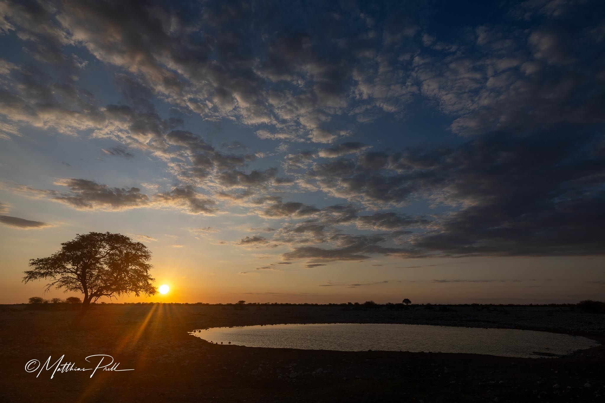 Waterhole at Okaukuejo Camp, Etosha National Park, Namibia