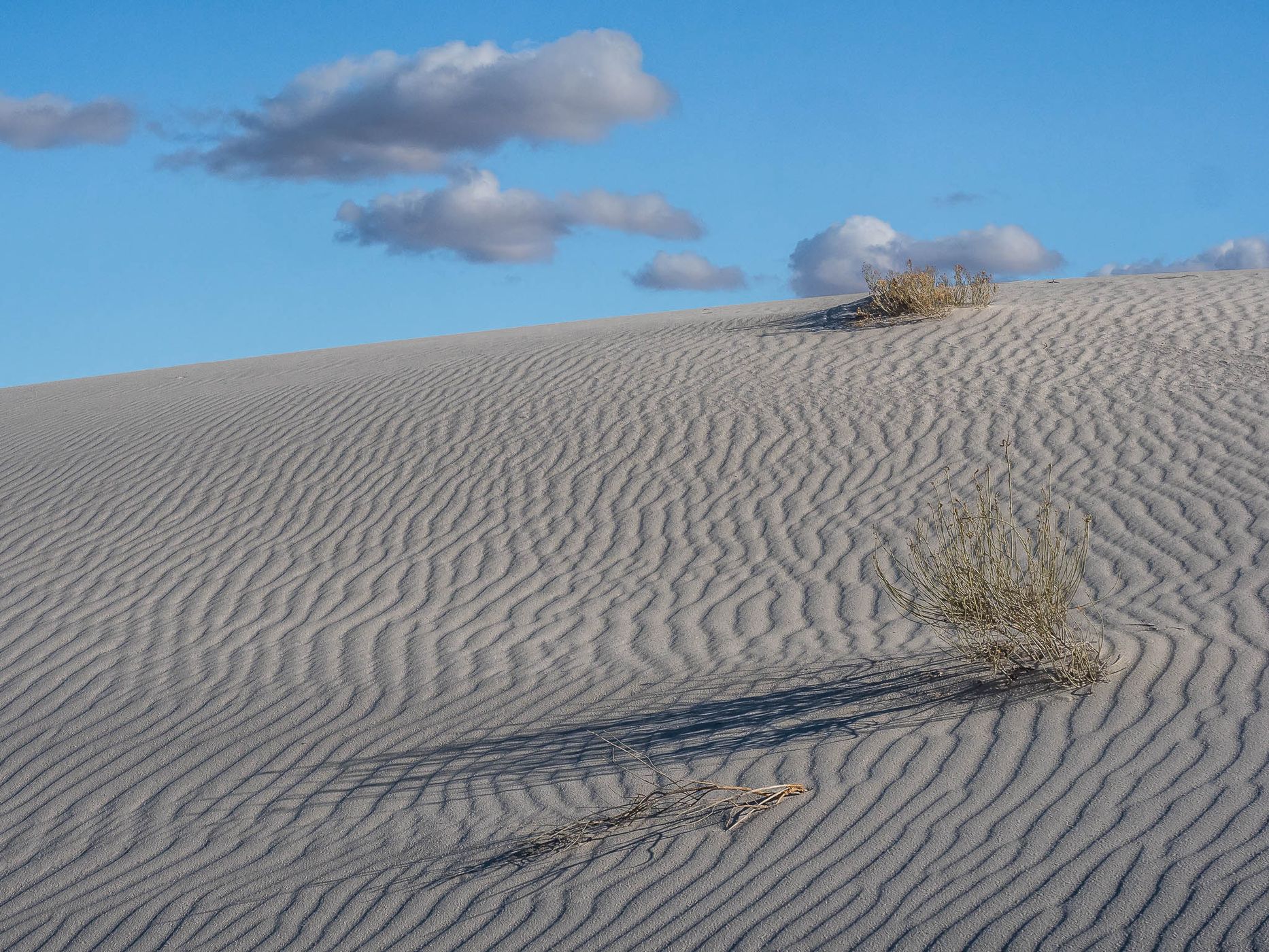 White Sands National Park, USA