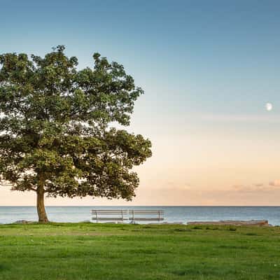 A tree, a bench and the moon, Germany