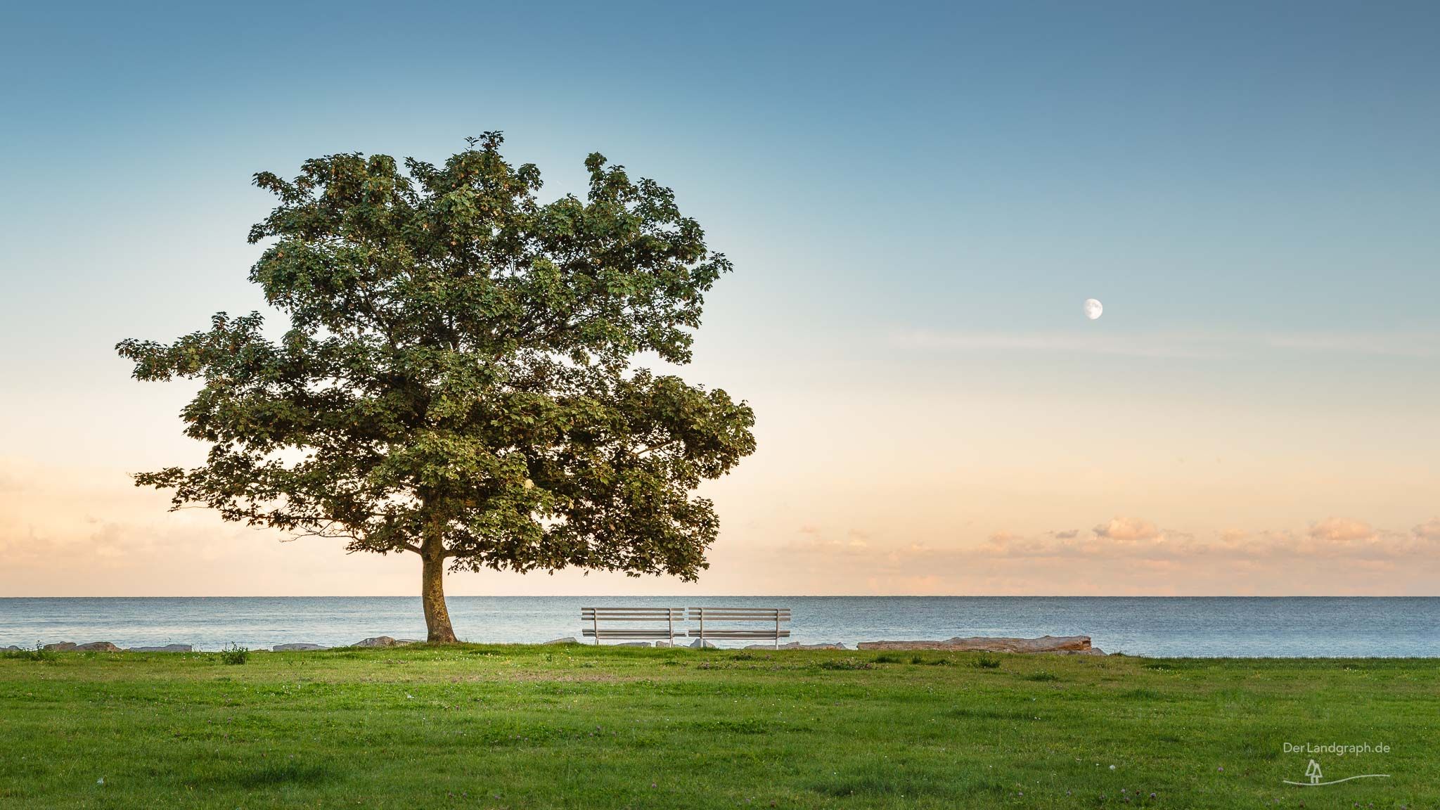 A tree, a bench and the moon, Germany