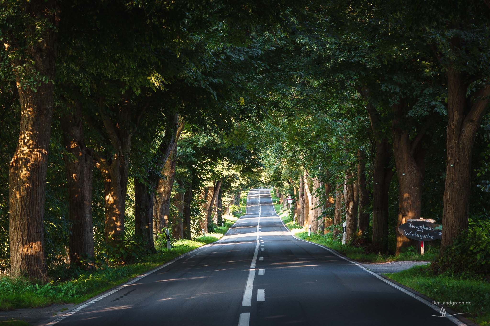 Alleenstraße Rügen, Germany