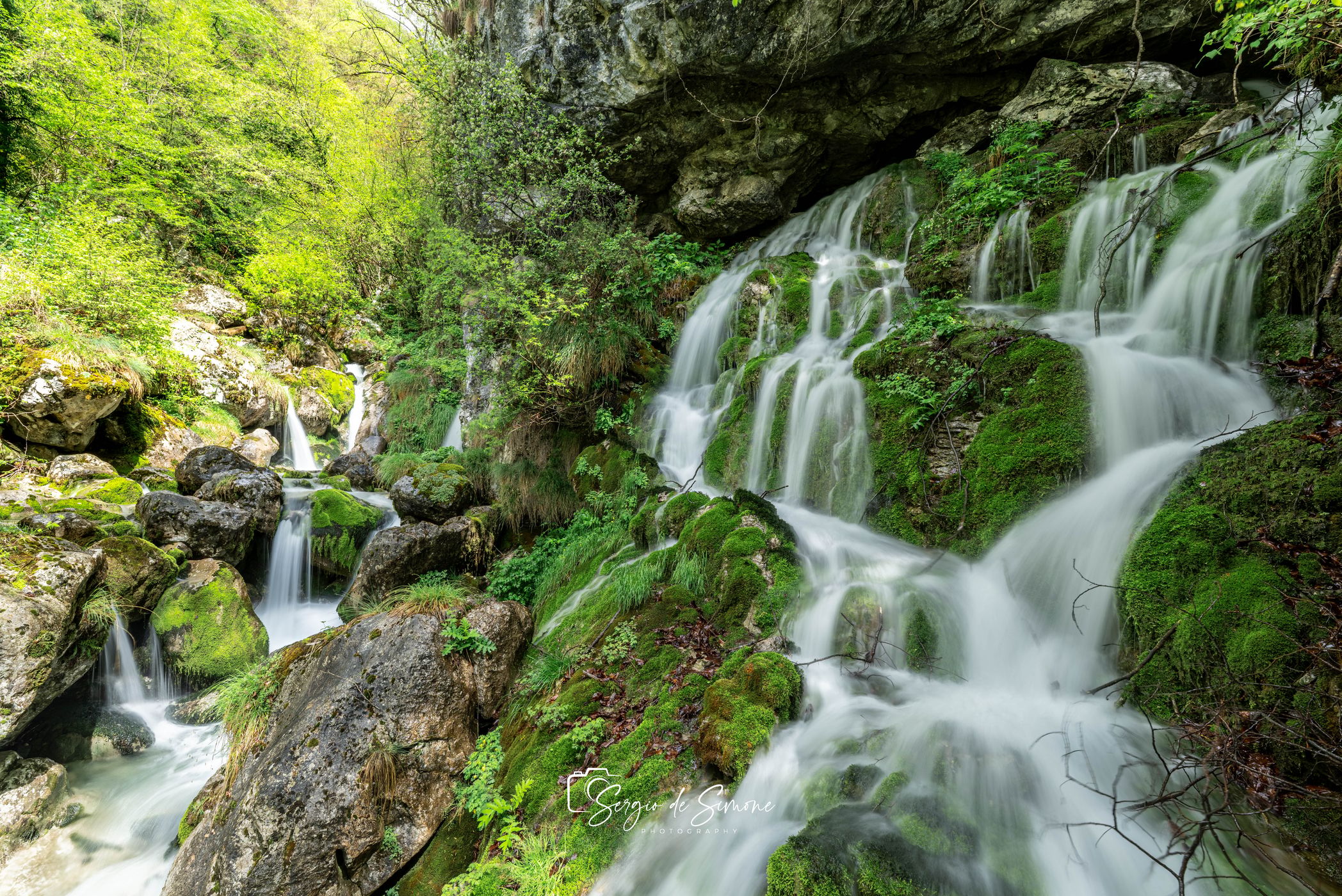 Area natura rio bianco, Italy