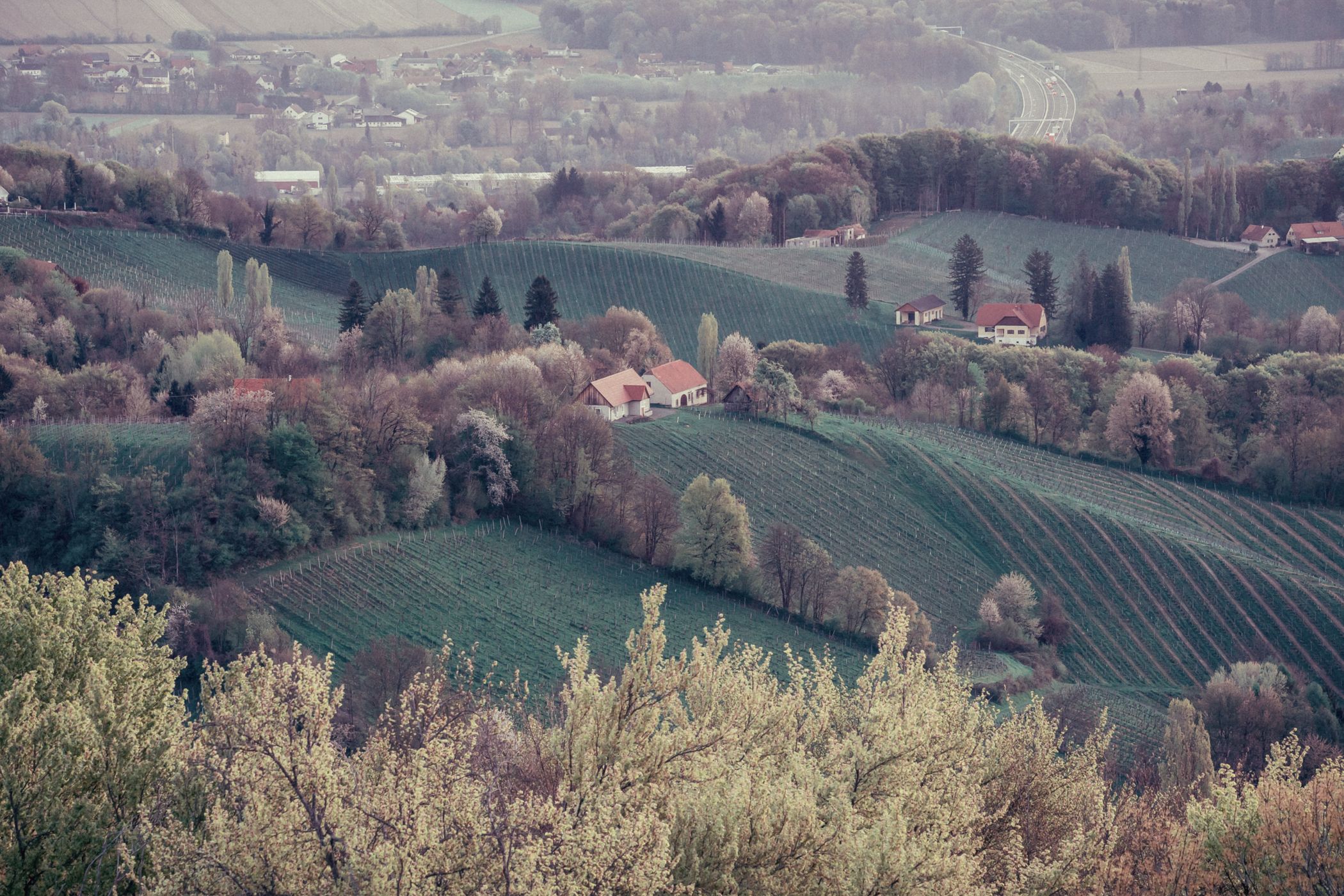 View from Razgledni stolp Plač, Slovenia