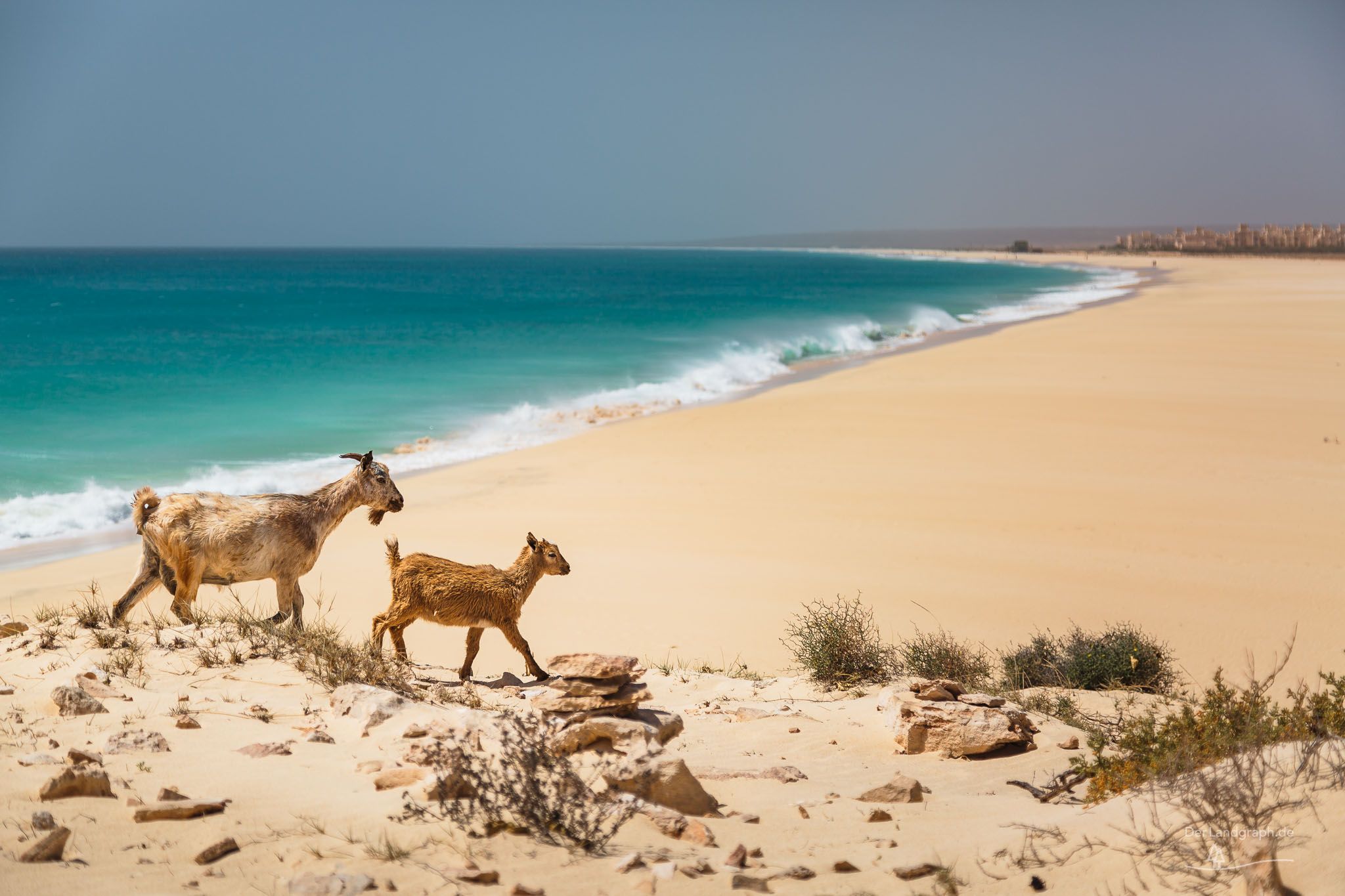 Boa Vista Beach, Cape Verde