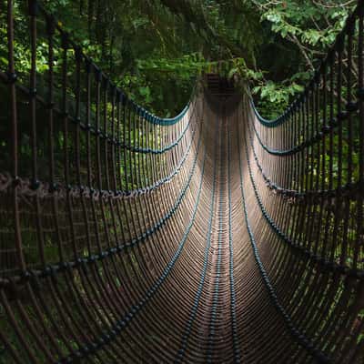Burmese Suspension Bridge, United Kingdom
