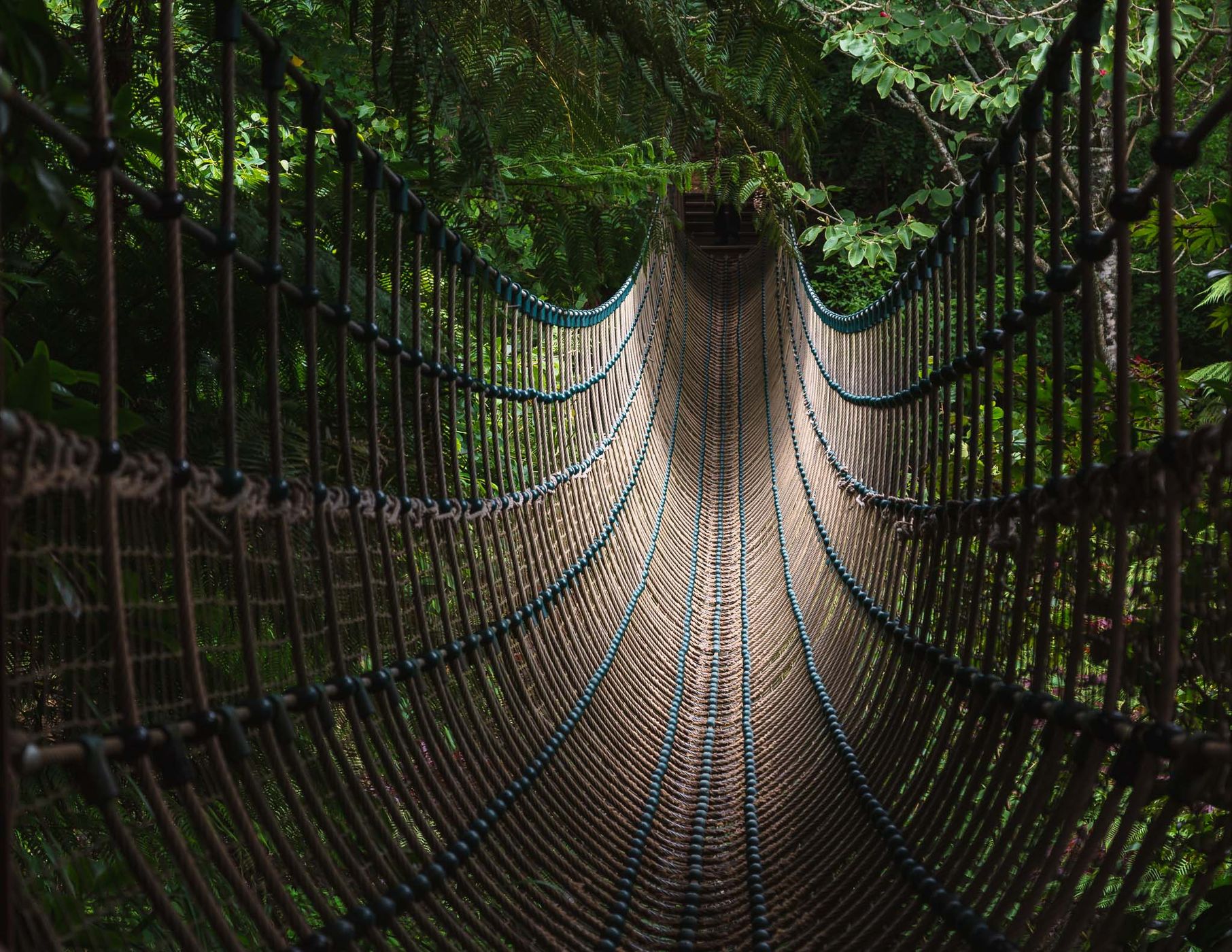 Burmese Suspension Bridge, United Kingdom