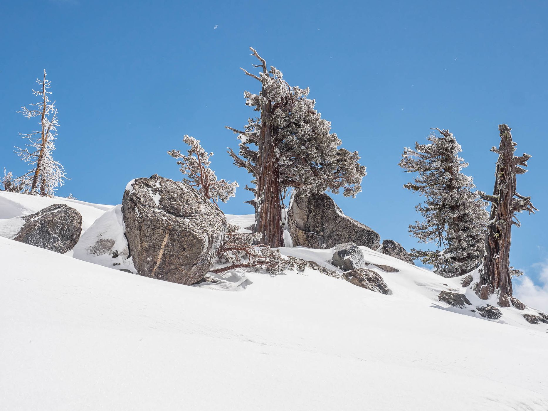 Carson Pass Highway, USA