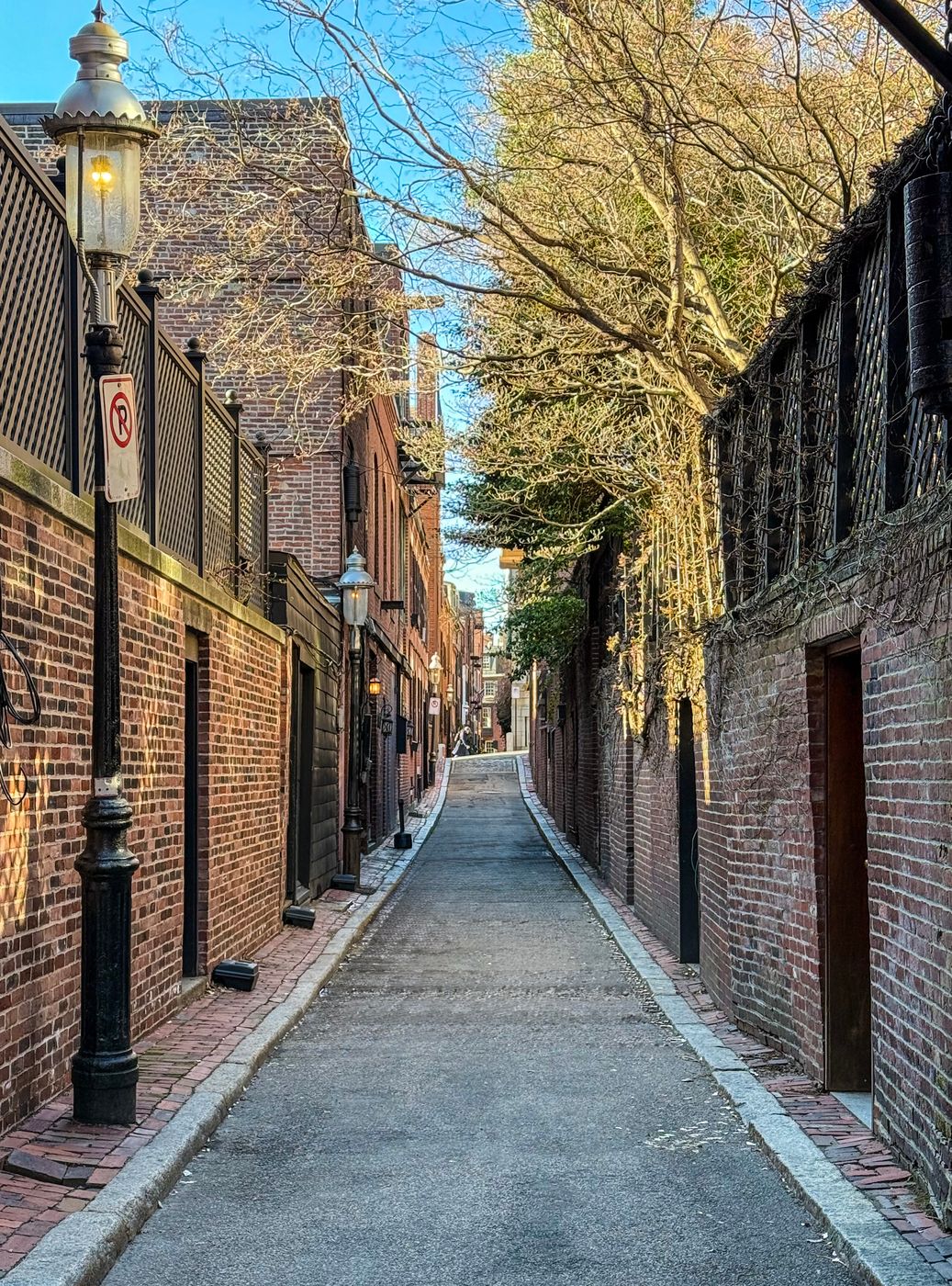 Cedar Ln Way, Boston, USA