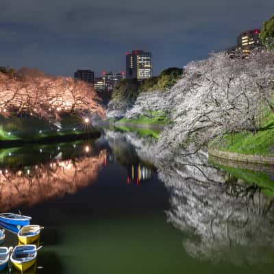 Chidorigafuchi, Japan