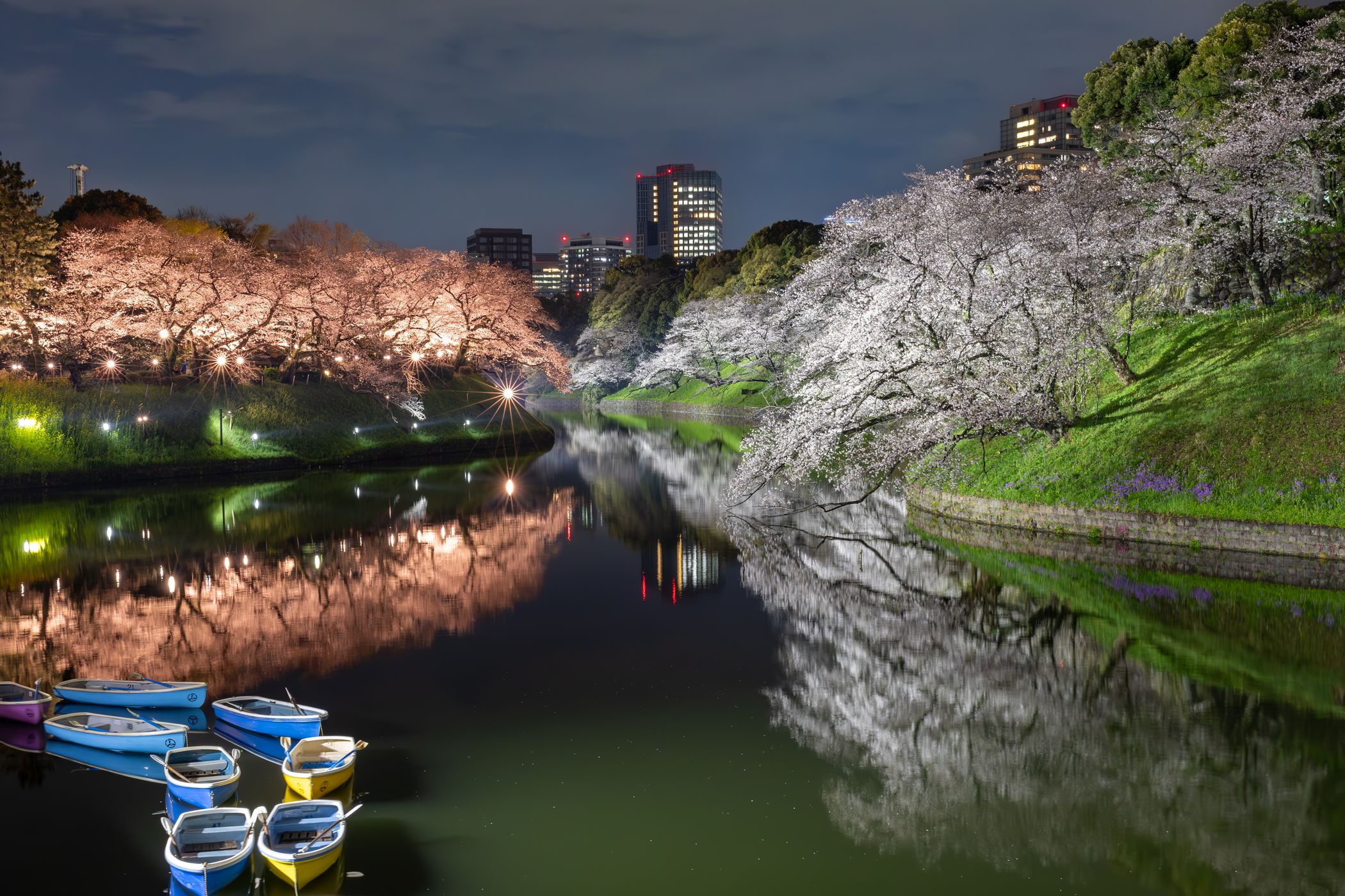 Chidorigafuchi, Japan