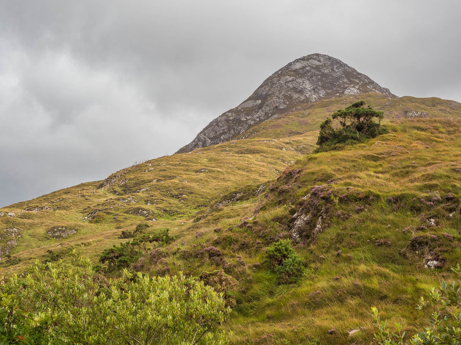 Connemara National Park, Ireland