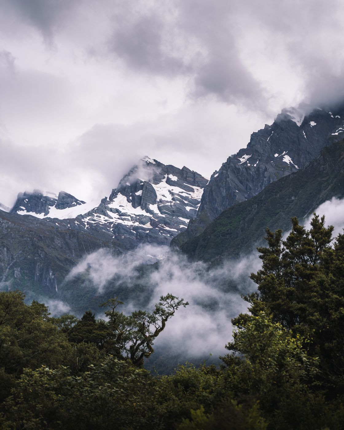 Copland Track, Shortly before Welcome Flat Hut, New Zealand