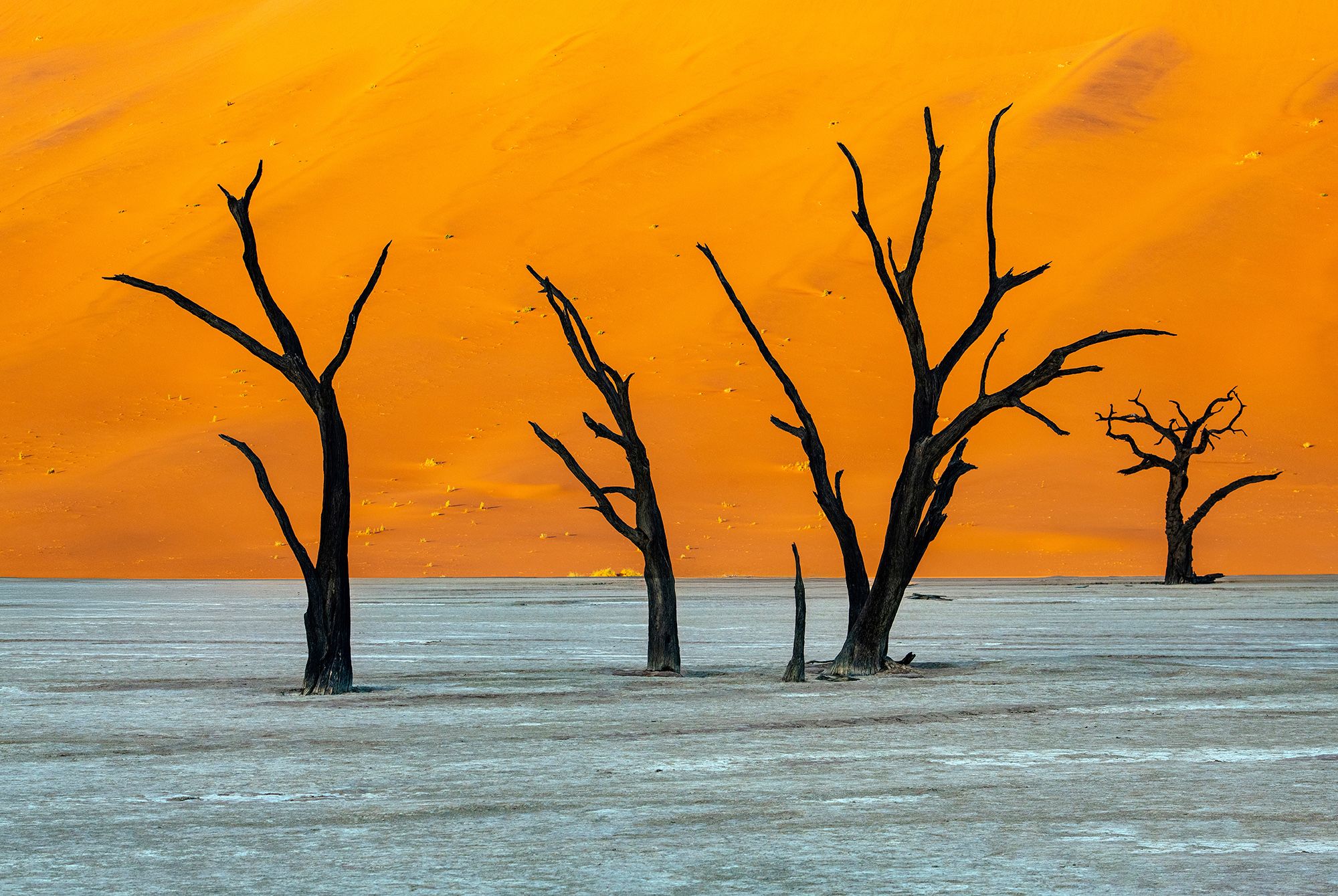 Deadvlei, Sossusvlei, Namibia